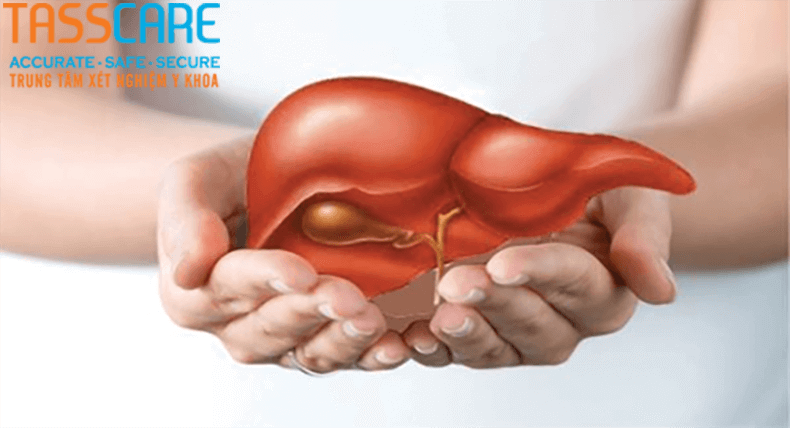 xet-nghiem-chuc-nang-gan-than-o-dau