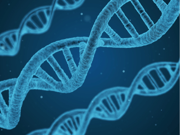 Hiểu Về Hệ Gen Dược Lý - Nghiên Cứu Về Vai Trò Của Gen Trong Đáp Ứng Thuốc