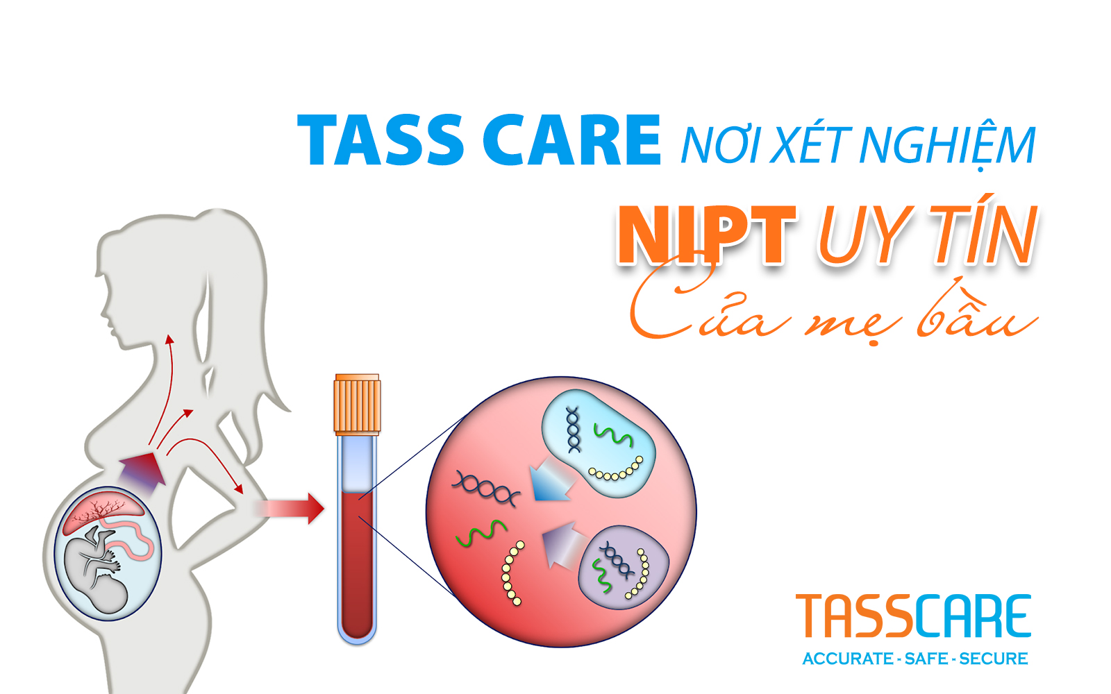 Tass Care – nơi xét nghiệm NIPT uy tín của mẹ bầu