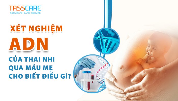 Xét nghiệm ADN của thai nhi qua máu mẹ cho biết điều gì?