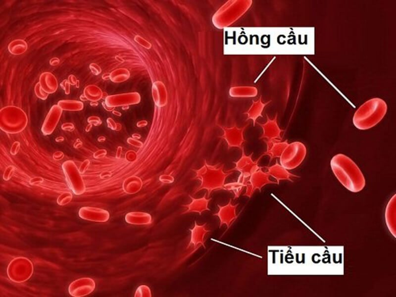 xet-nghiem-tieu-cau